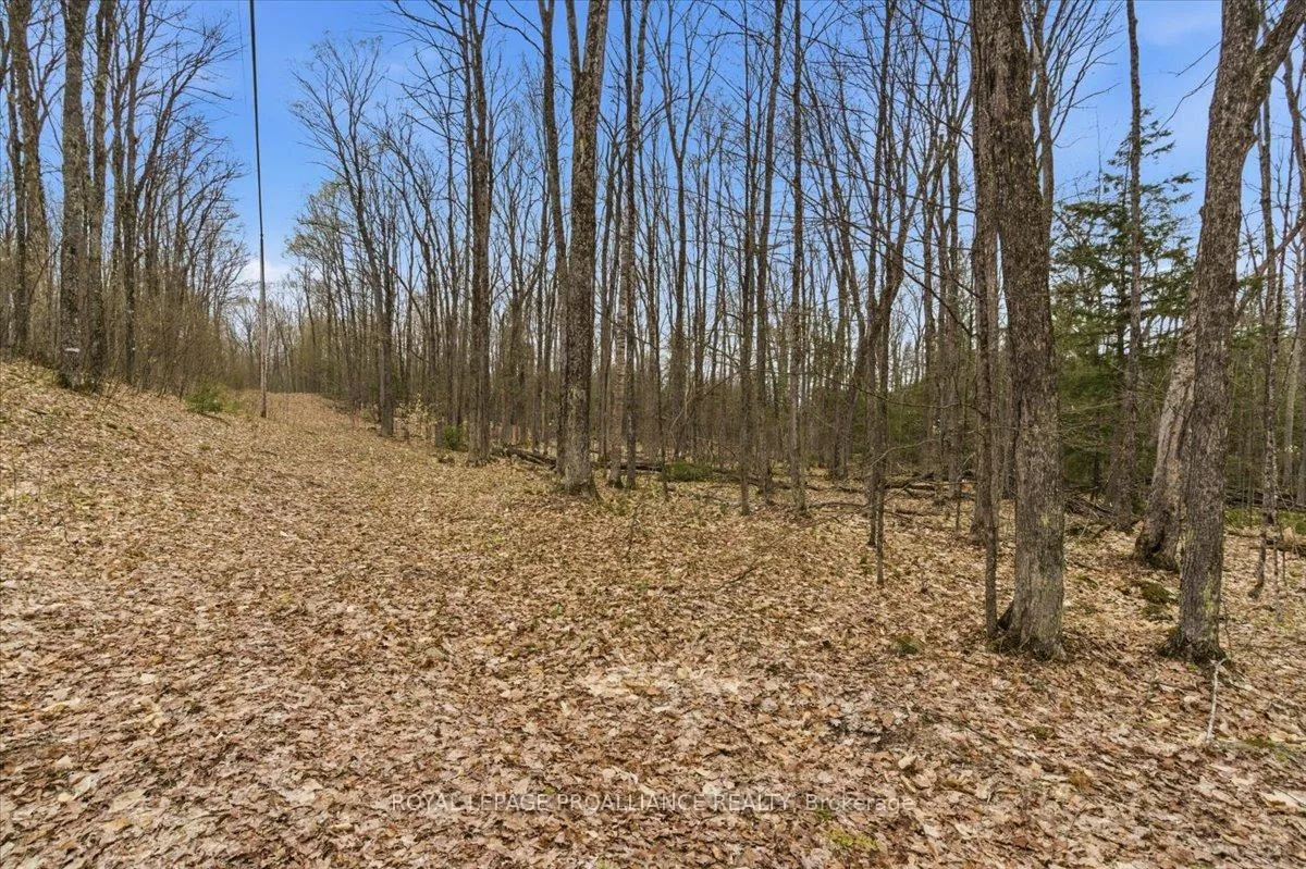 Photo 7 of Rekrview Lane, North Frontenac, Frontenac North — HOMEH