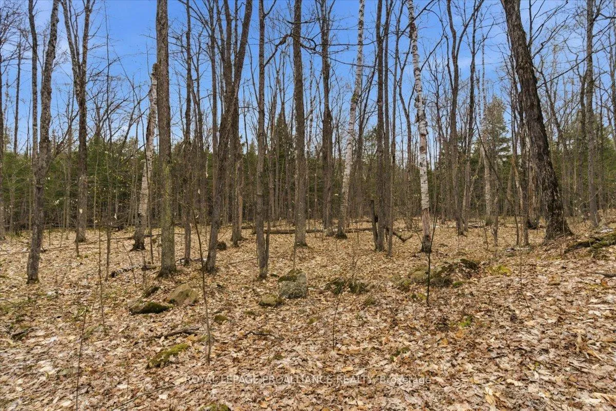 Photo 8 of Rekrview Lane, North Frontenac, Frontenac North — HOMEH