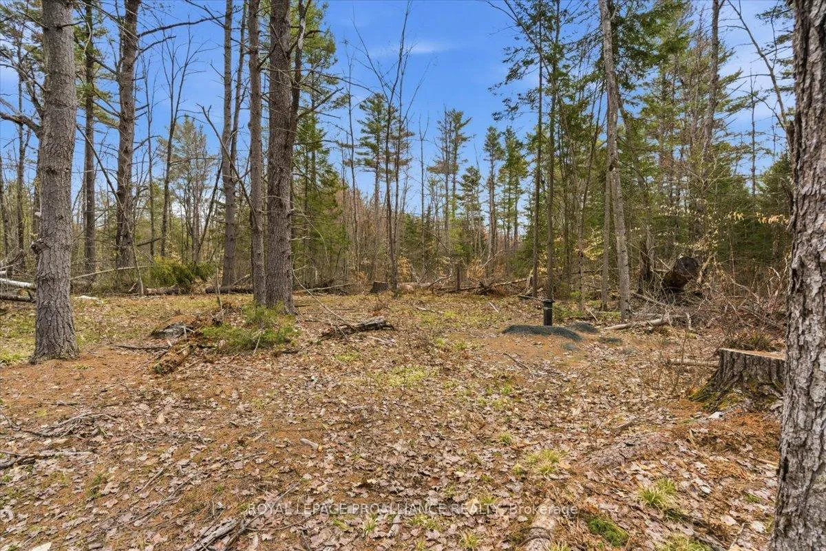 Photo 6 of 265 Addington Road 4, Frontenac, Frontenac North — HOMEH