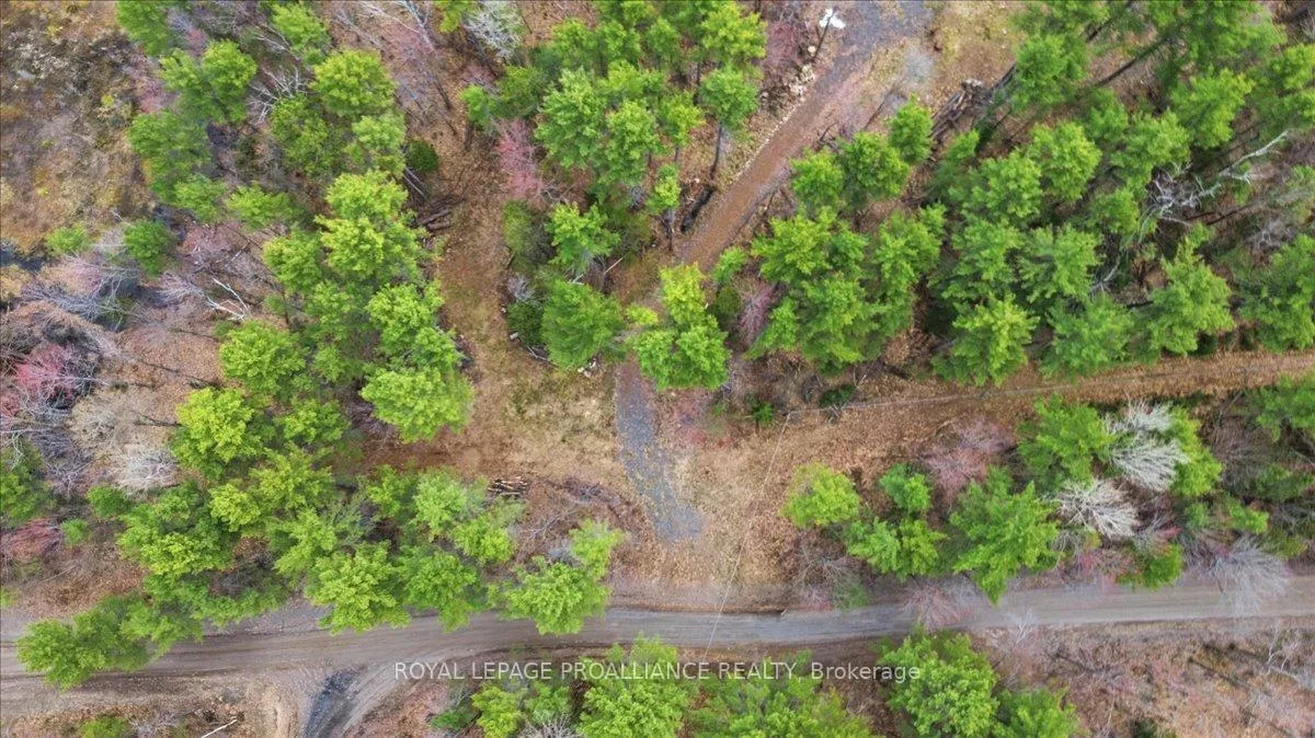 Photo 11 of 265 Addington Road 4, Frontenac, Frontenac North — HOMEH