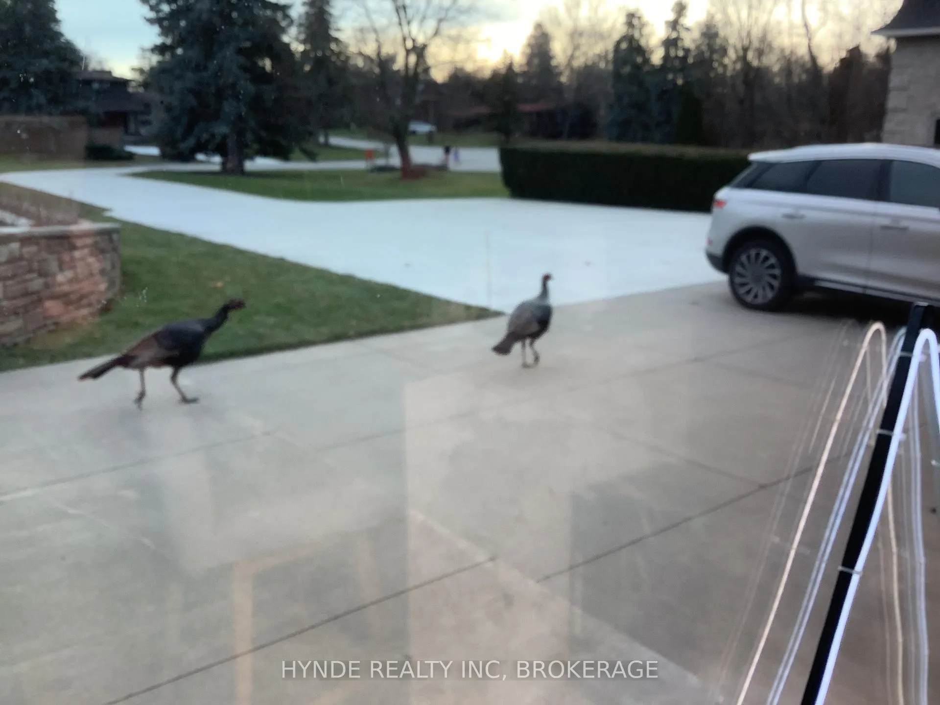 Photo 15 of 24 Woodmount Dr, St. Catharines, Burleigh Hill — HOMEH