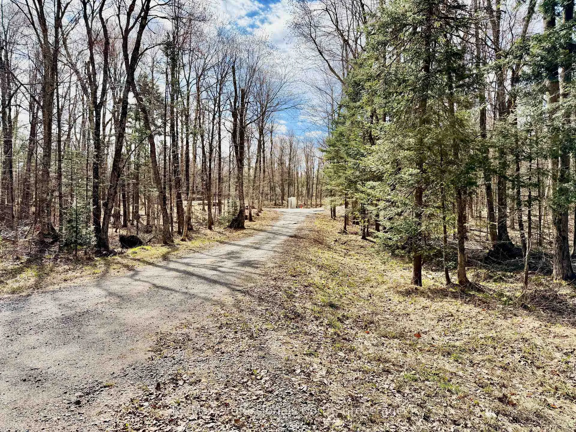 Photo 5 of 2388 Doe Lake Road, Gravenhurst, Ryde — HOMEH