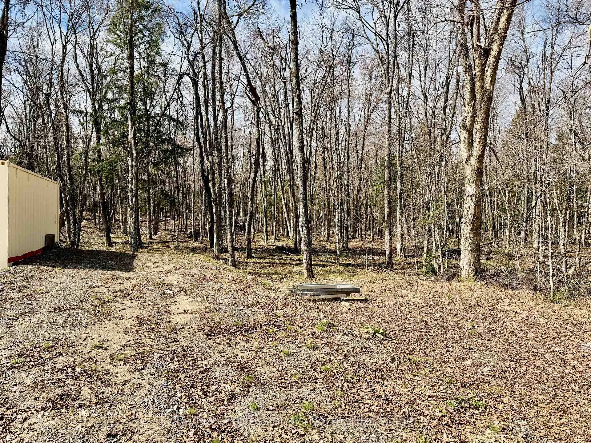 Photo 8 of 2388 Doe Lake Road, Gravenhurst, Ryde — HOMEH