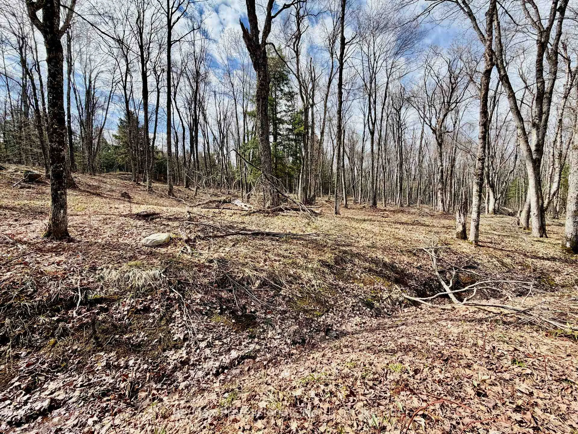 Photo 16 of 2388 Doe Lake Road, Gravenhurst, Ryde — HOMEH