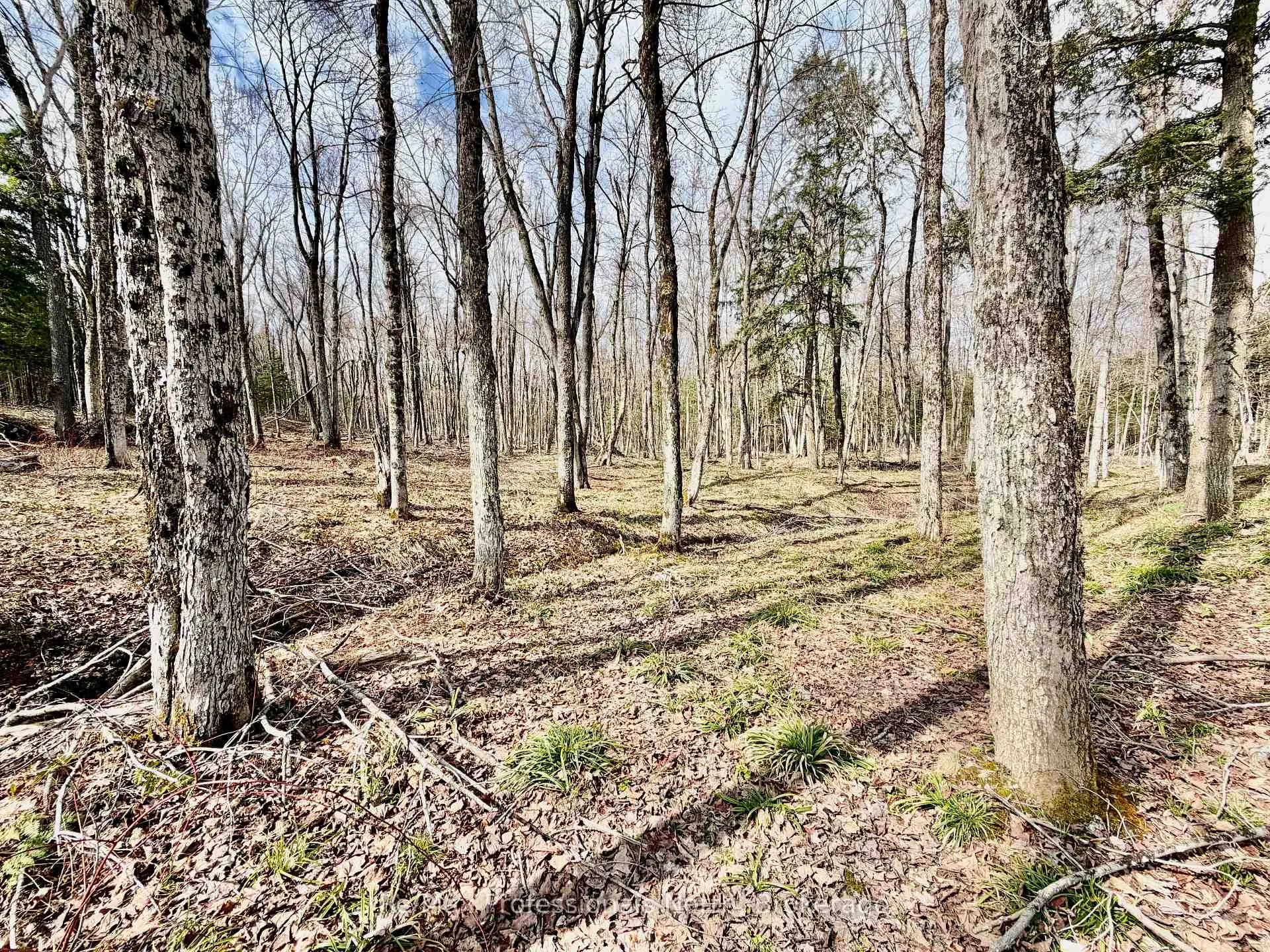 Photo 17 of 2388 Doe Lake Road, Gravenhurst, Ryde — HOMEH