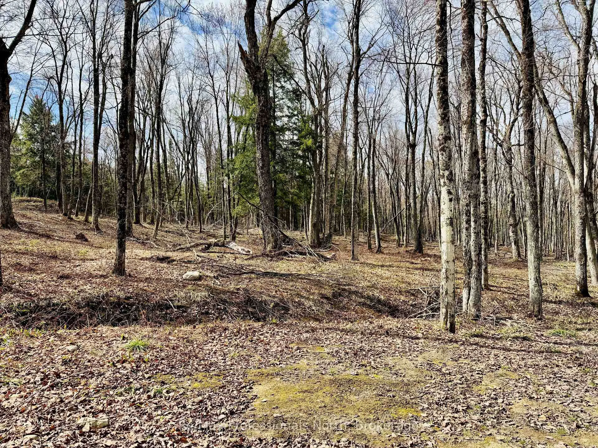 Photo 19 of 2388 Doe Lake Road, Gravenhurst, Ryde — HOMEH