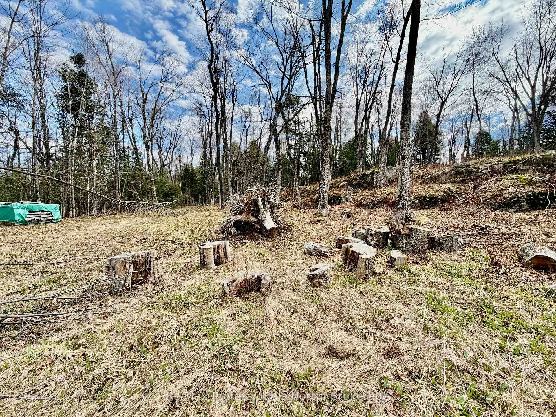 Photo 30 of 2388 Doe Lake Road, Gravenhurst, Ryde — HOMEH