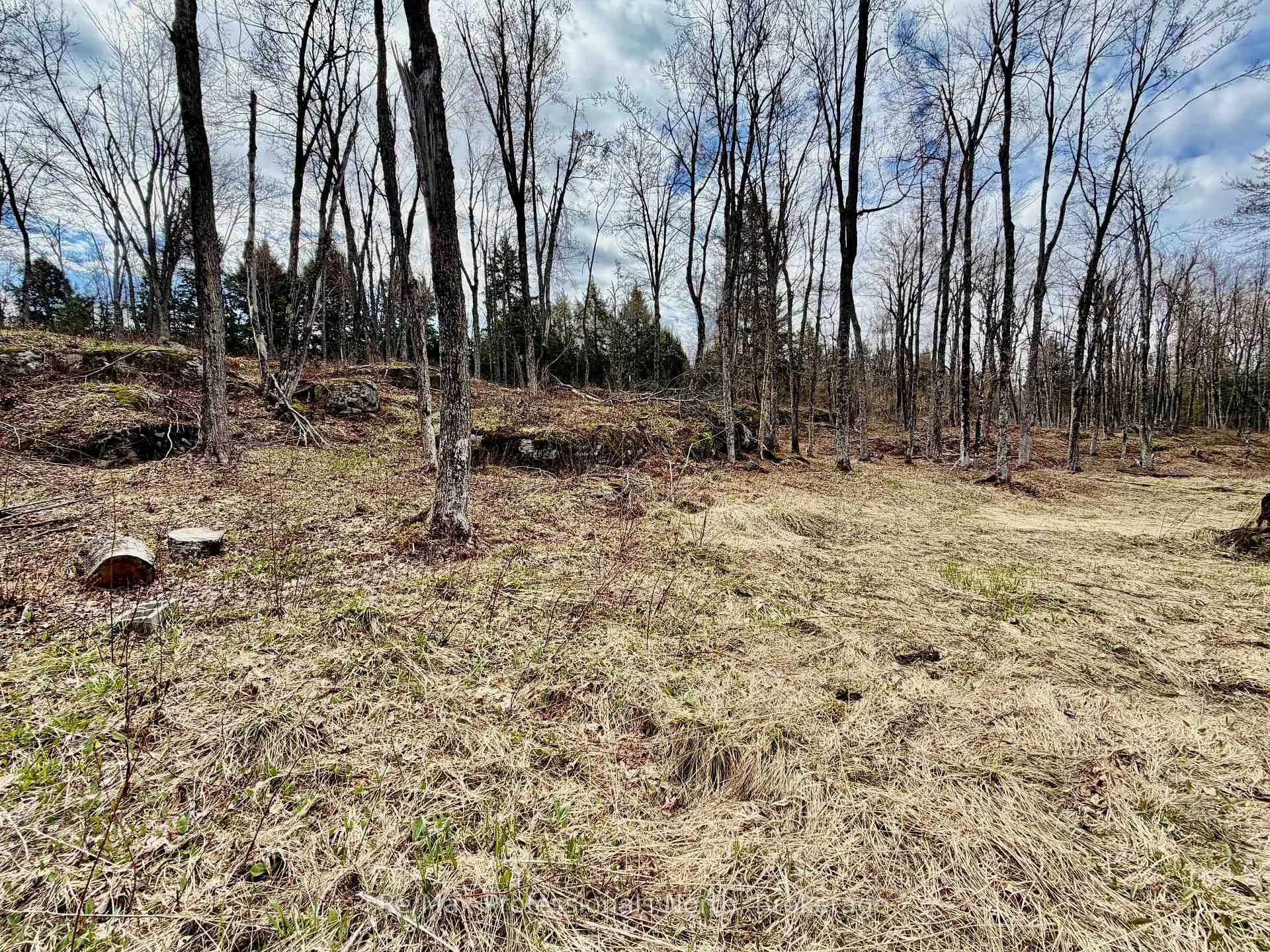 Photo 31 of 2388 Doe Lake Road, Gravenhurst, Ryde — HOMEH