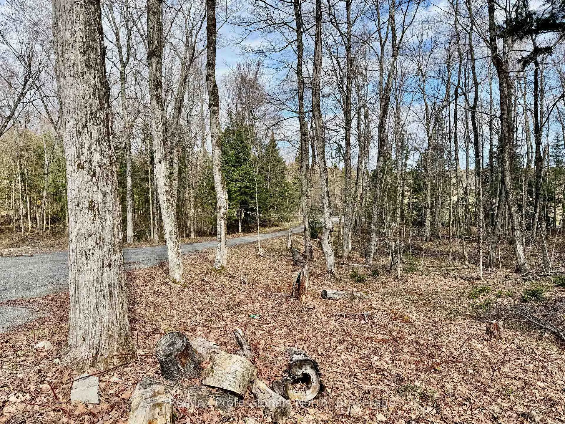 Photo 33 of 2388 Doe Lake Road, Gravenhurst, Ryde — HOMEH