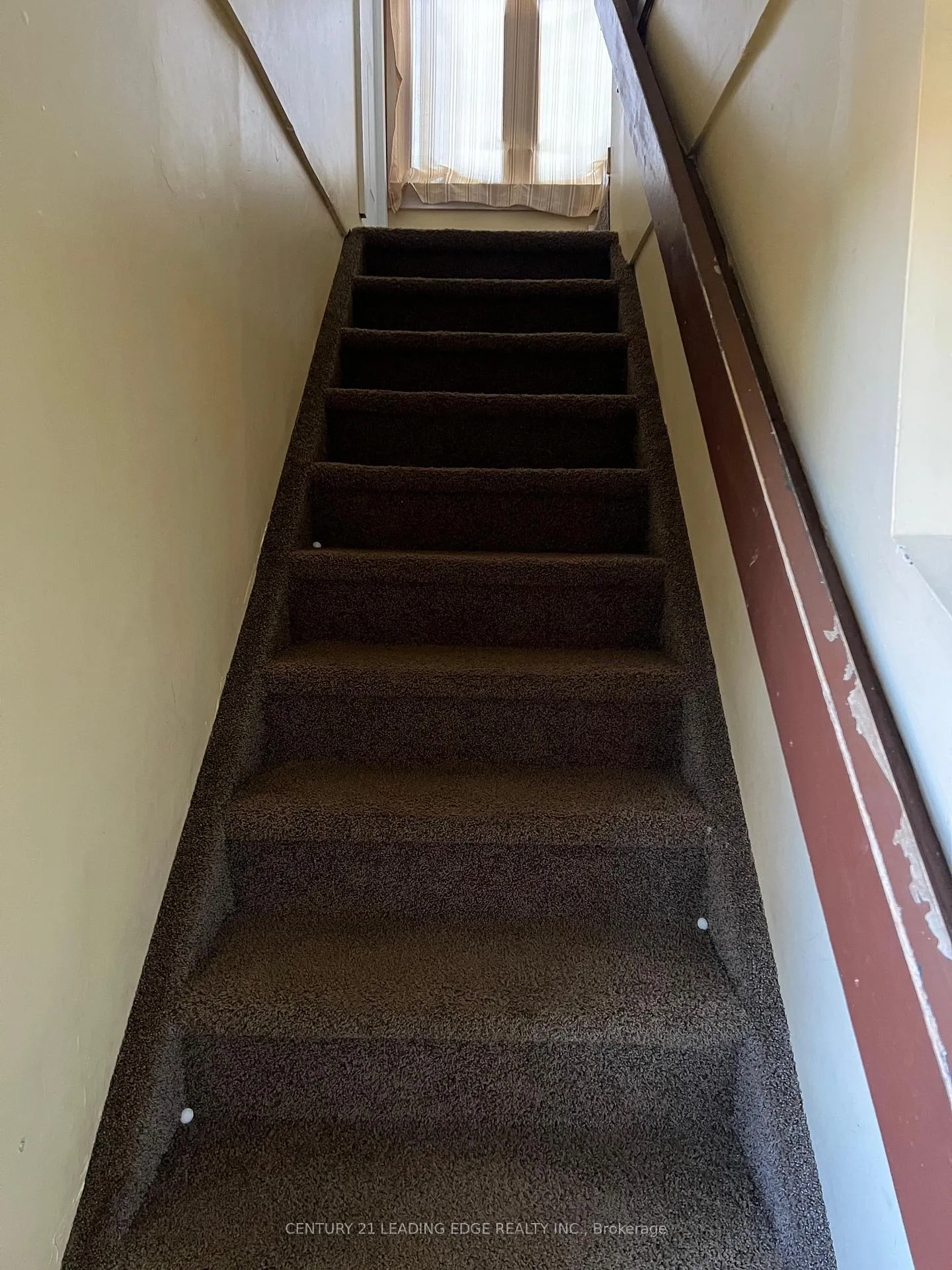 Photo 6 of 10 Lailey Street, St. Catharines, Facer — HOMEH