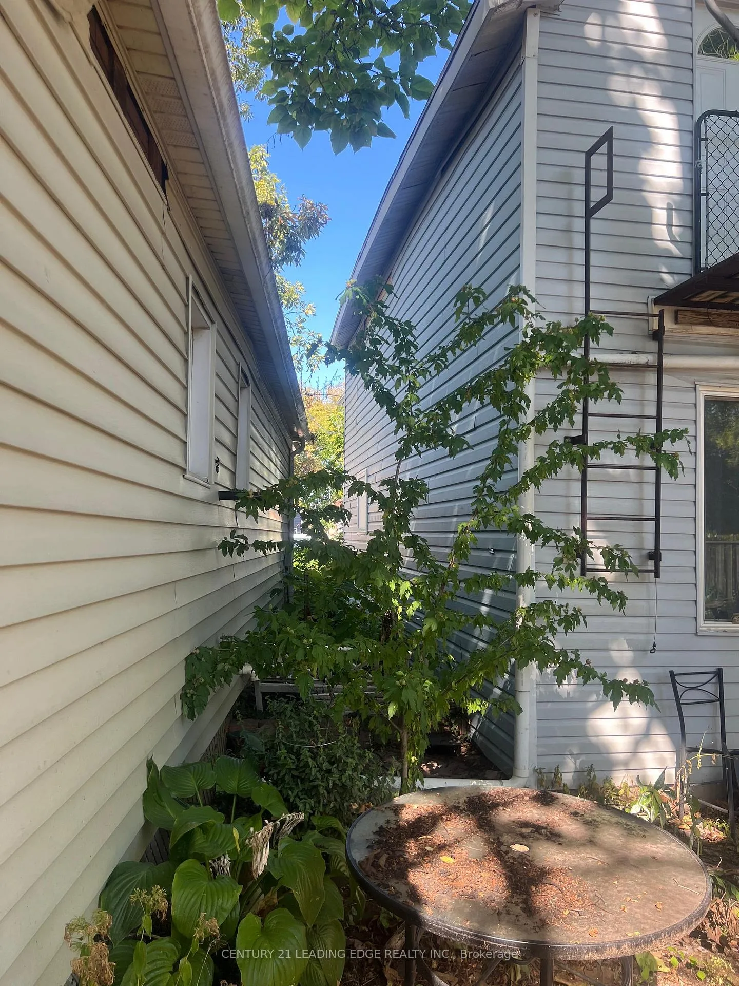 Photo 8 of 10 Lailey Street, St. Catharines, Facer — HOMEH