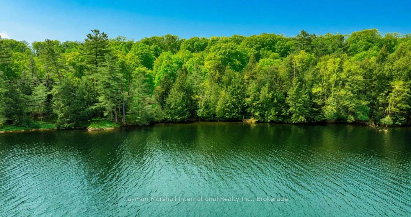 Photo 9 of Bumble Bee Road, Seguin, Humphrey — HOMEH