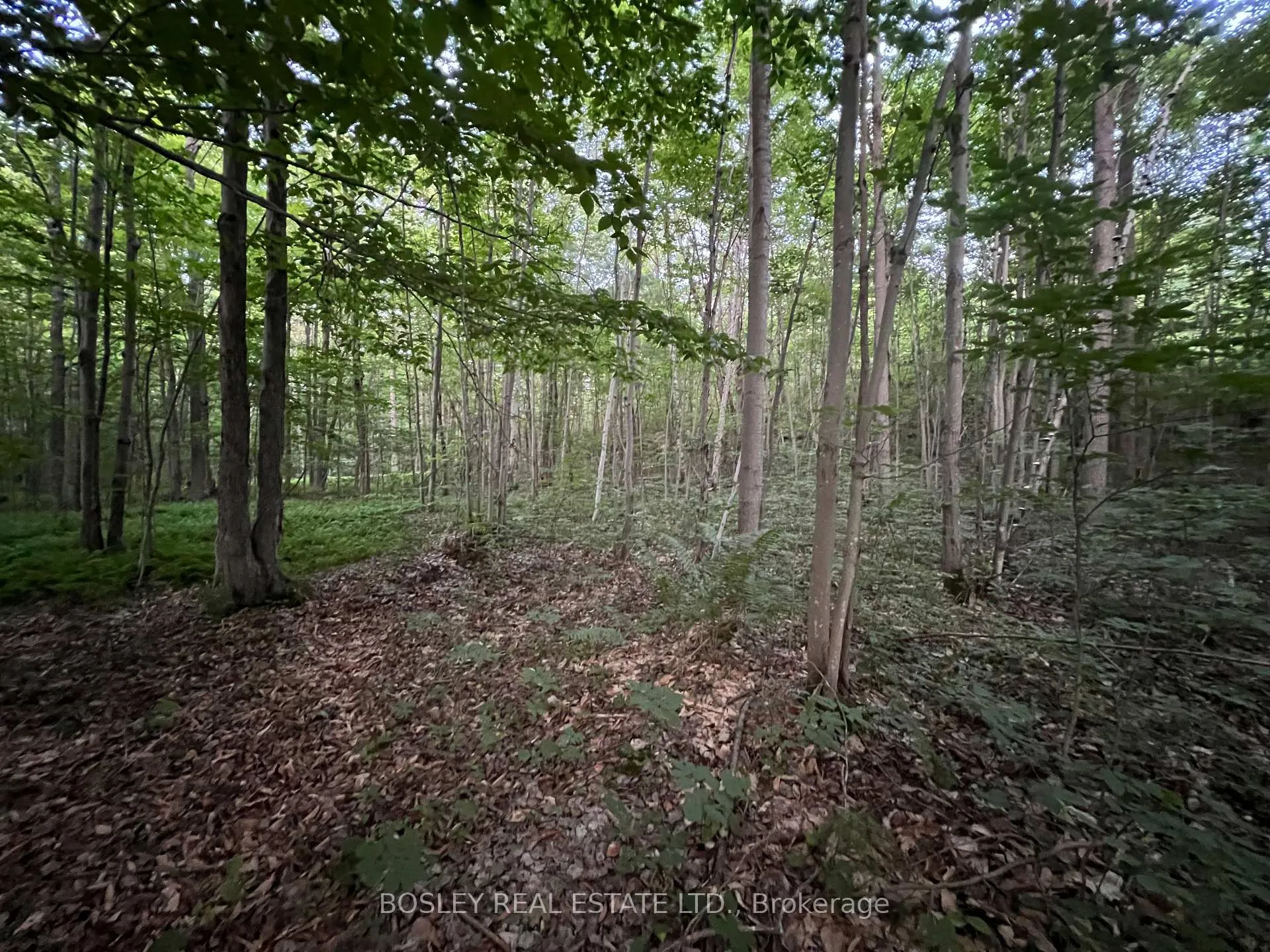 Photo 3 of 1874 Highway 11 N, Gravenhurst, Morrison — HOMEH