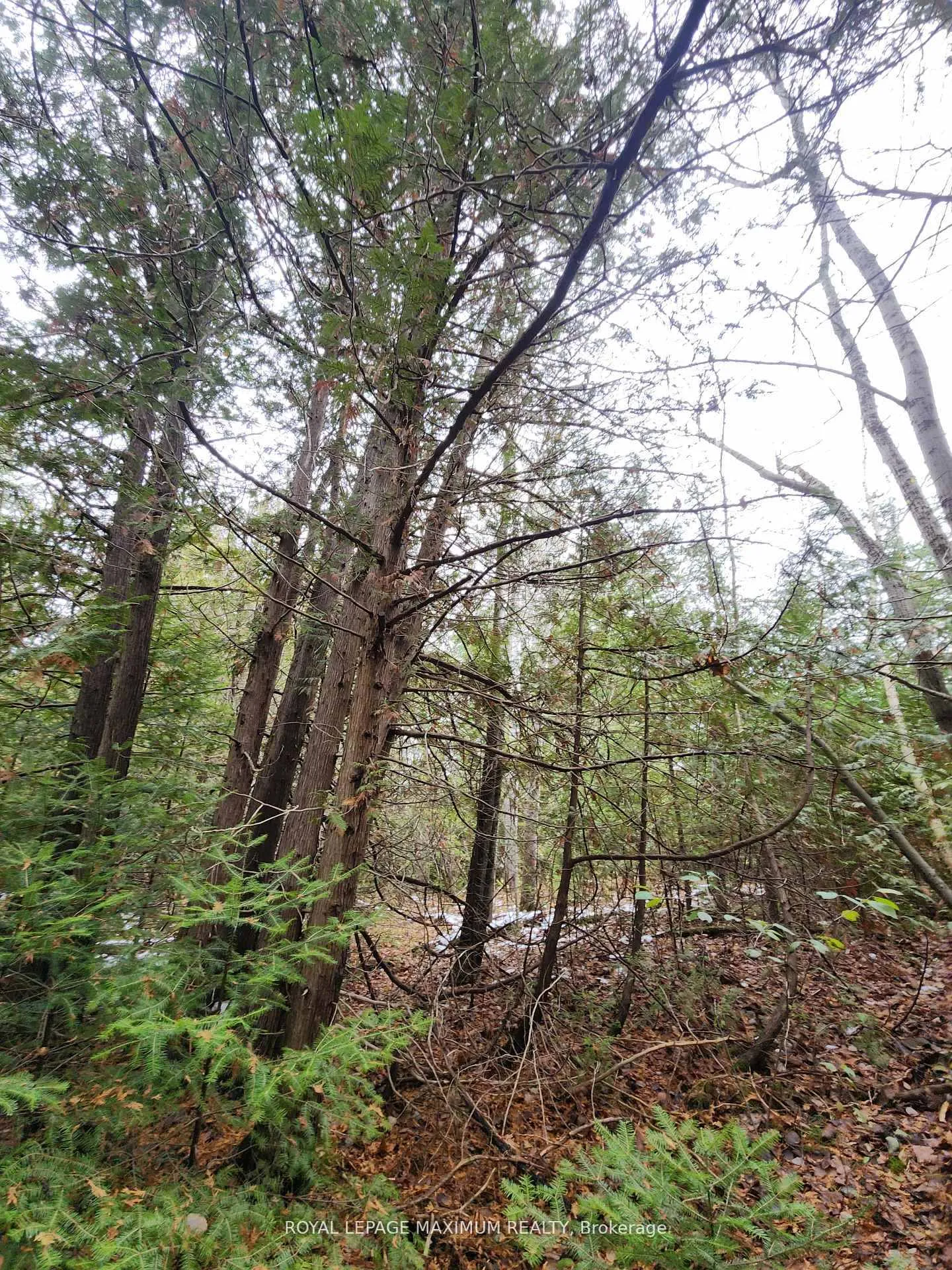 Photo 2 of Ashworth Road, Uxbridge, Rural Uxbridge — HOMEH
