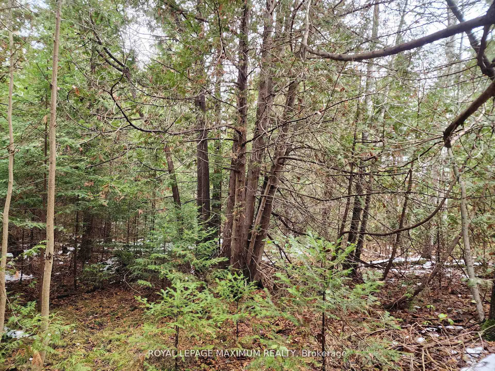 Photo 3 of Ashworth Road, Uxbridge, Rural Uxbridge — HOMEH