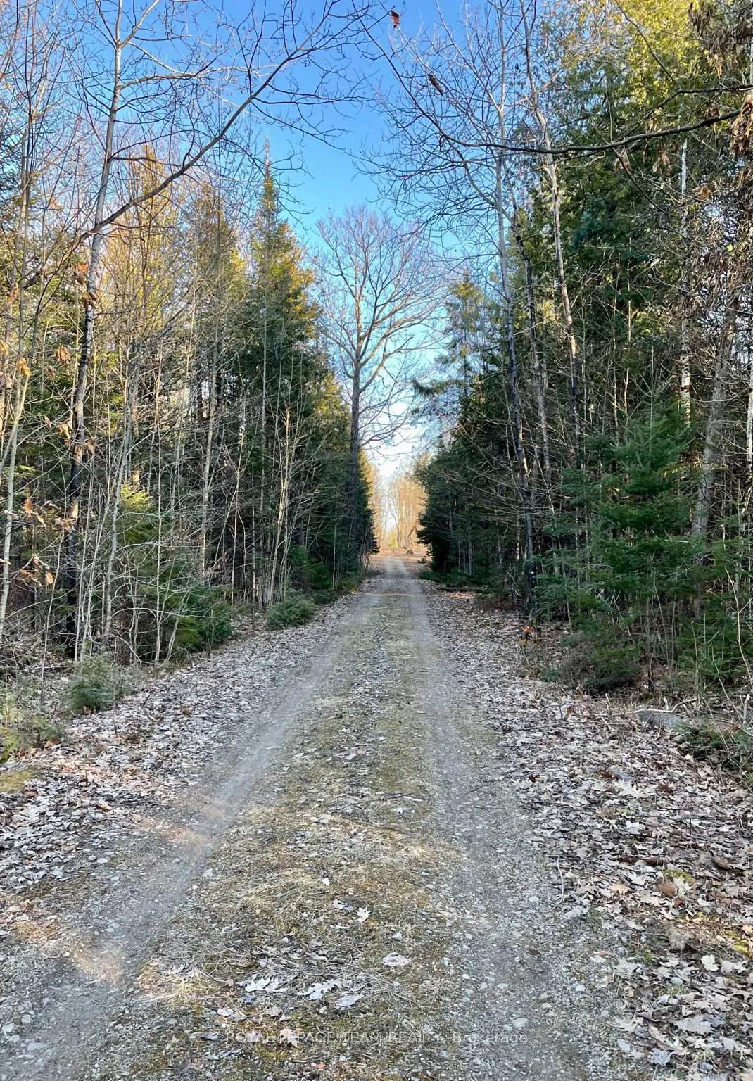 Photo 33 of 4265 Roger Stevens Drive, Ottawa, Rideau Twp South To Roger Stevens Drive — HOMEH
