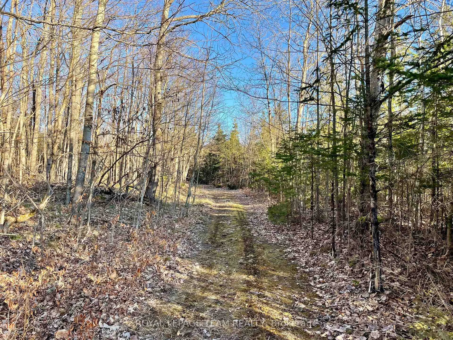 Photo 39 of 4265 Roger Stevens Drive, Ottawa, Rideau Twp South To Roger Stevens Drive — HOMEH