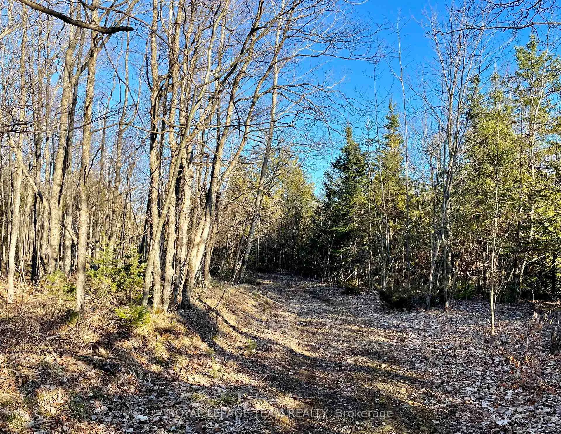 Photo 43 of 4265 Roger Stevens Drive, Ottawa, Rideau Twp South To Roger Stevens Drive — HOMEH