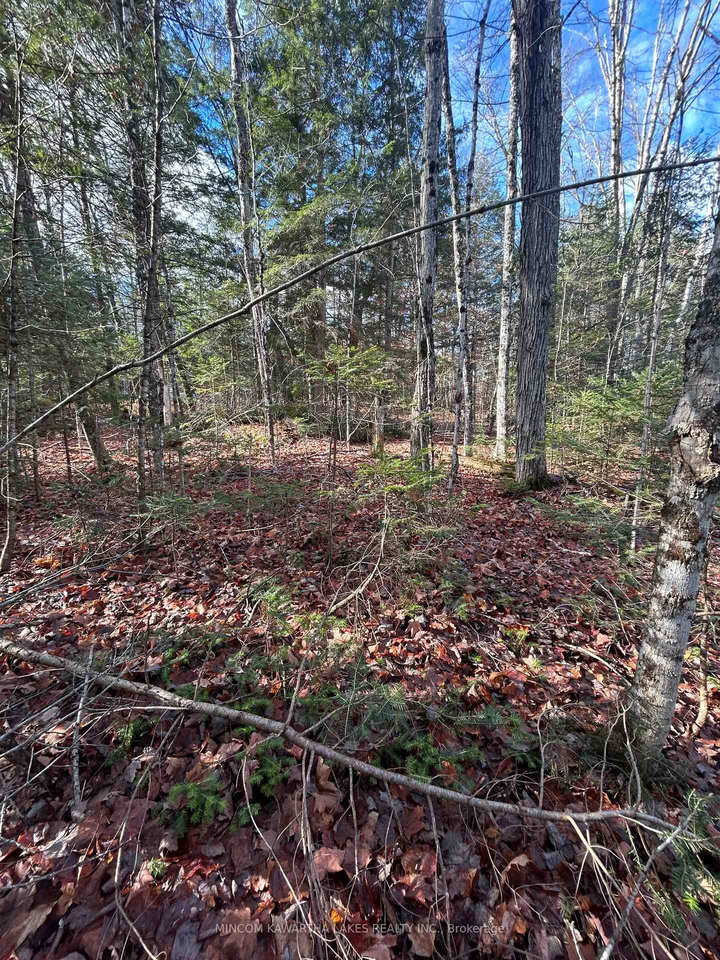 Photo 1 of Mill Lake Road, North Kawartha — HOMEH