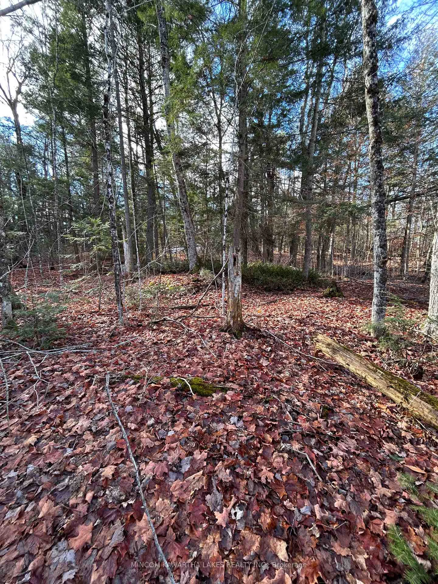 Photo 3 of Mill Lake Road, North Kawartha — HOMEH