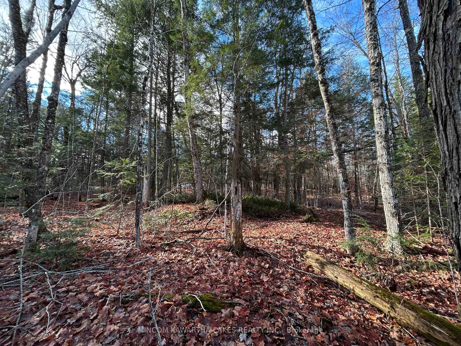 Photo 4 of Mill Lake Road, North Kawartha — HOMEH