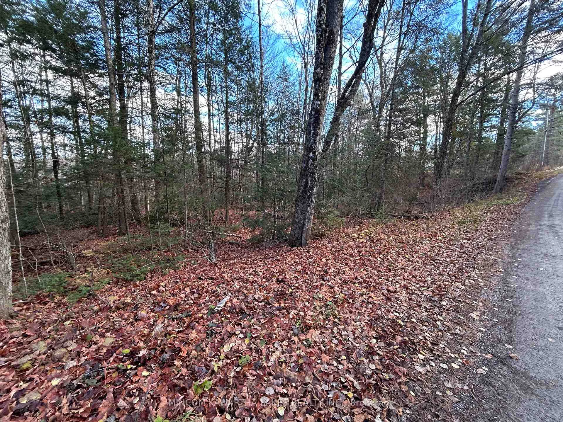 Photo 7 of Mill Lake Road, North Kawartha — HOMEH