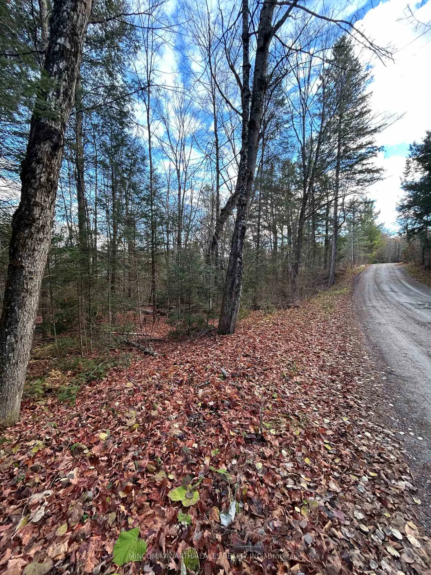 Photo 11 of Mill Lake Road, North Kawartha — HOMEH