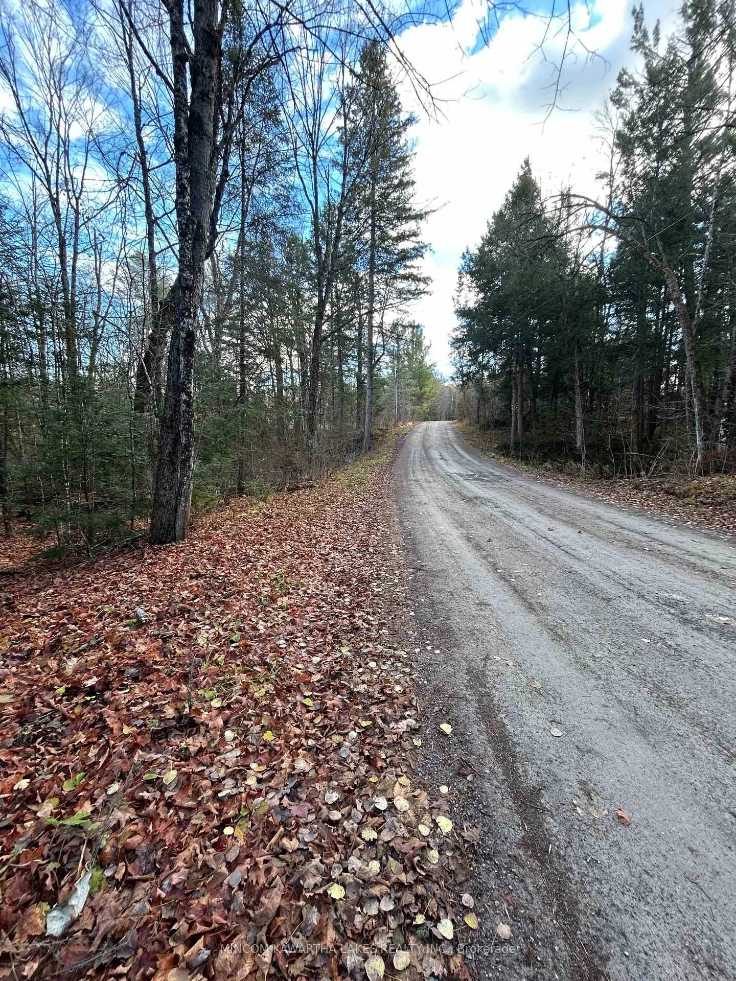 Photo 12 of Mill Lake Road, North Kawartha — HOMEH