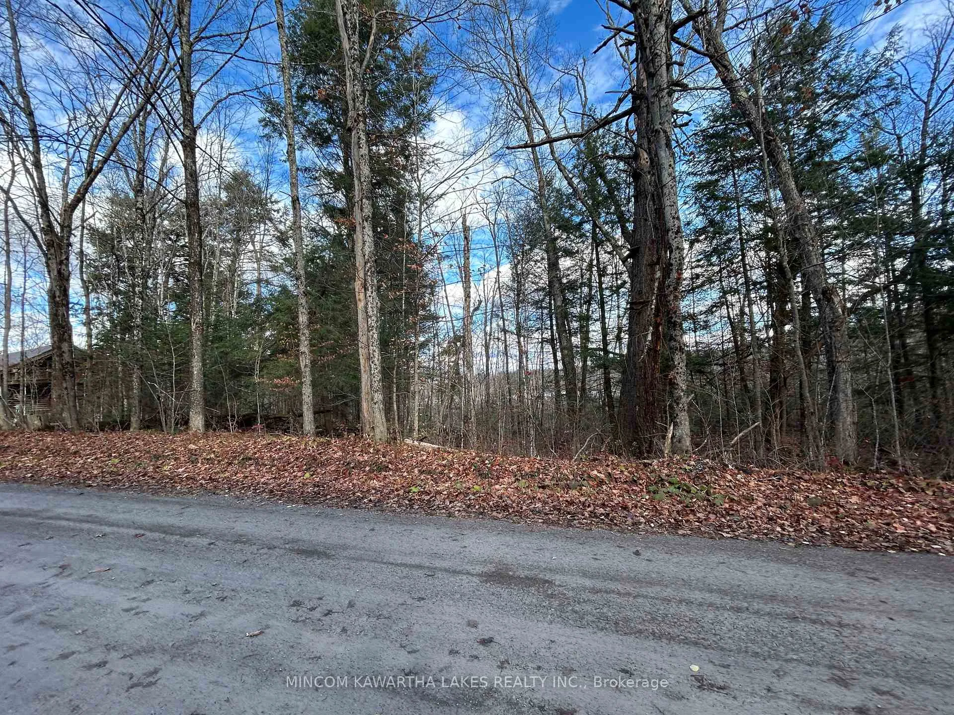 Photo 13 of Mill Lake Road, North Kawartha — HOMEH