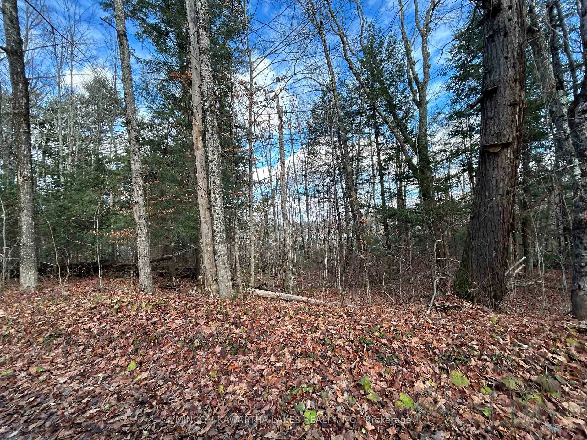 Photo 14 of Mill Lake Road, North Kawartha — HOMEH