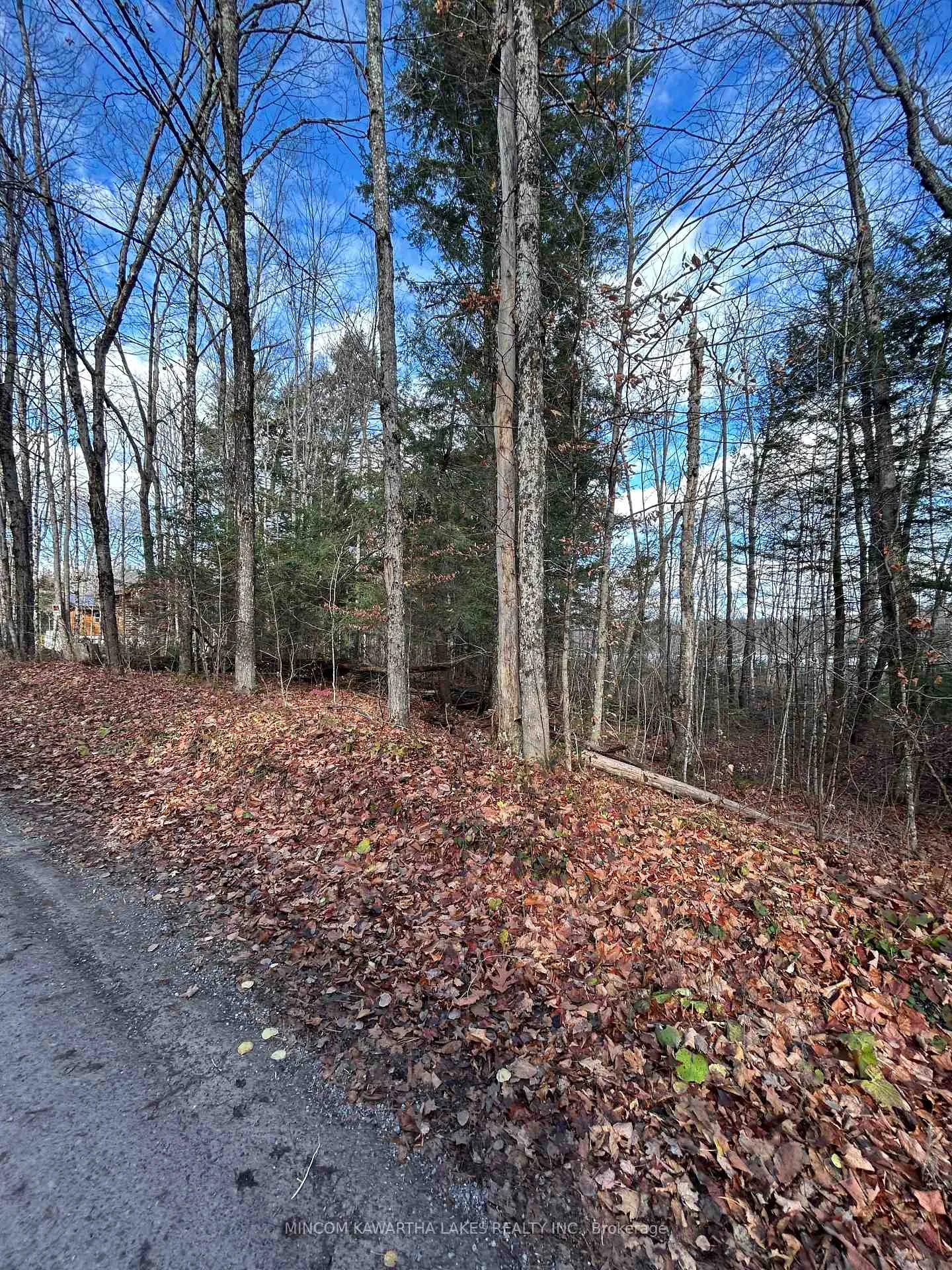 Photo 16 of Mill Lake Road, North Kawartha — HOMEH