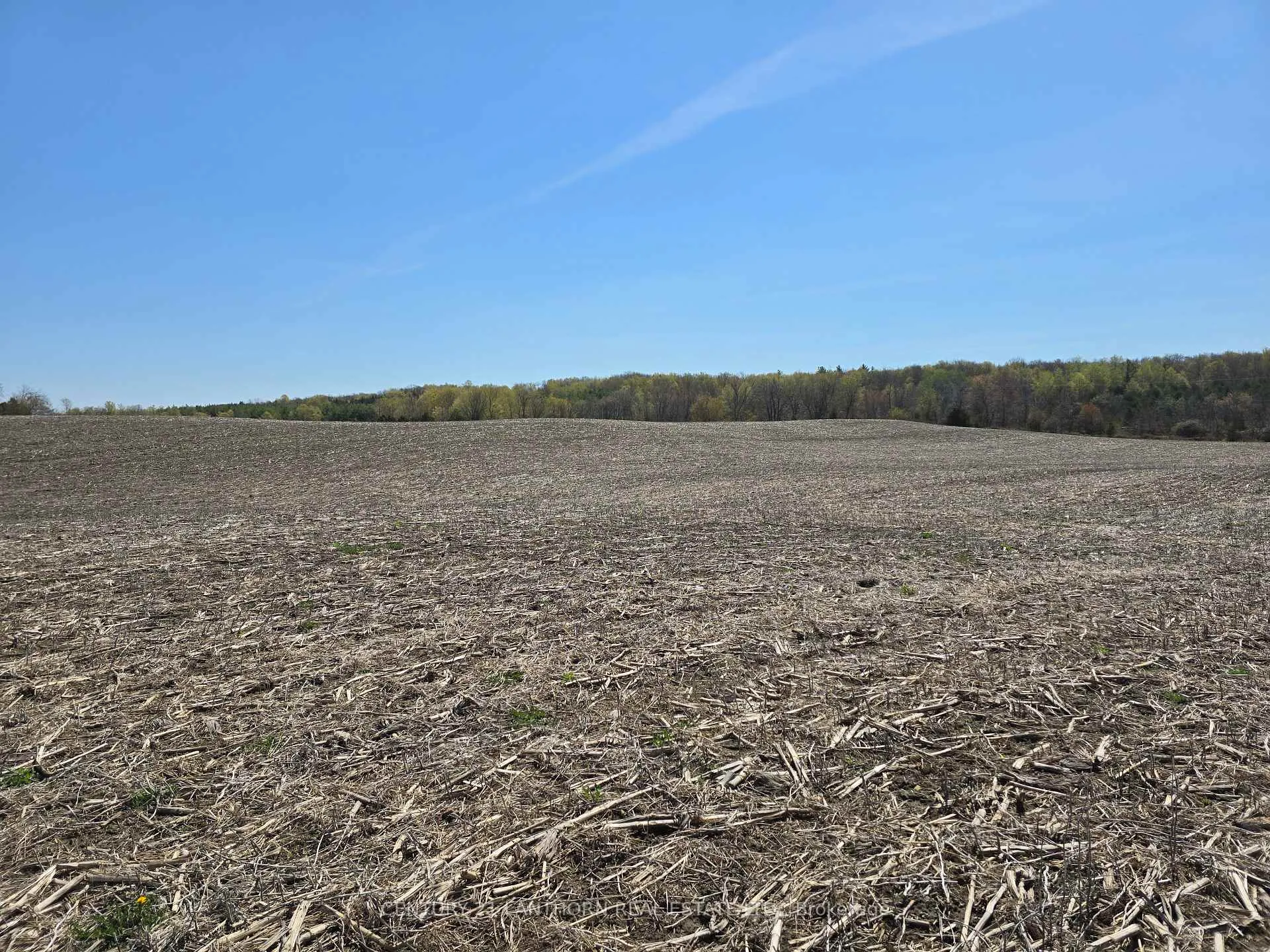 Photo of 0 Windmill Road