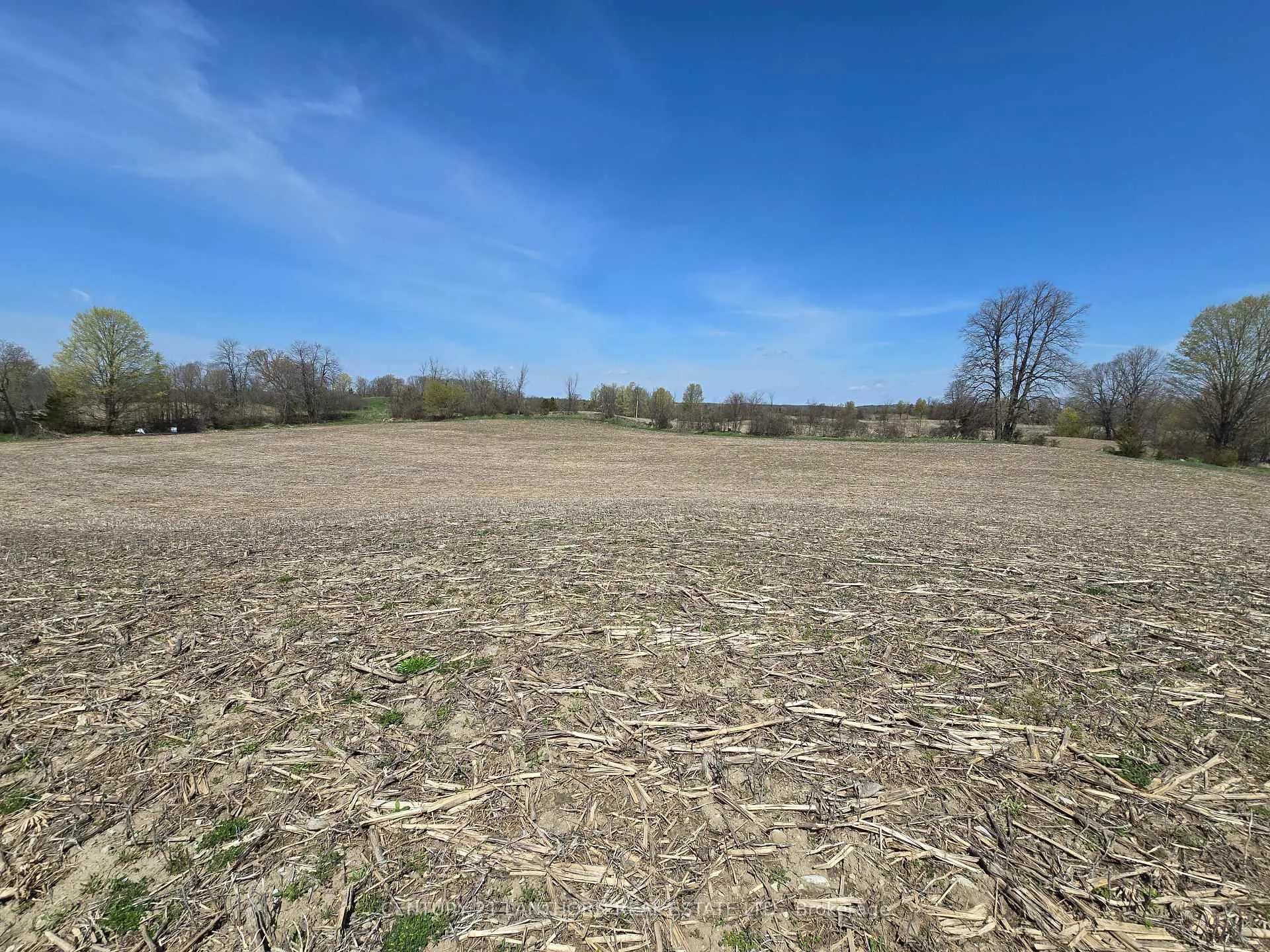 Photo 5 of Windmill Road, Tweed, Hungerford (Twp) — HOMEH