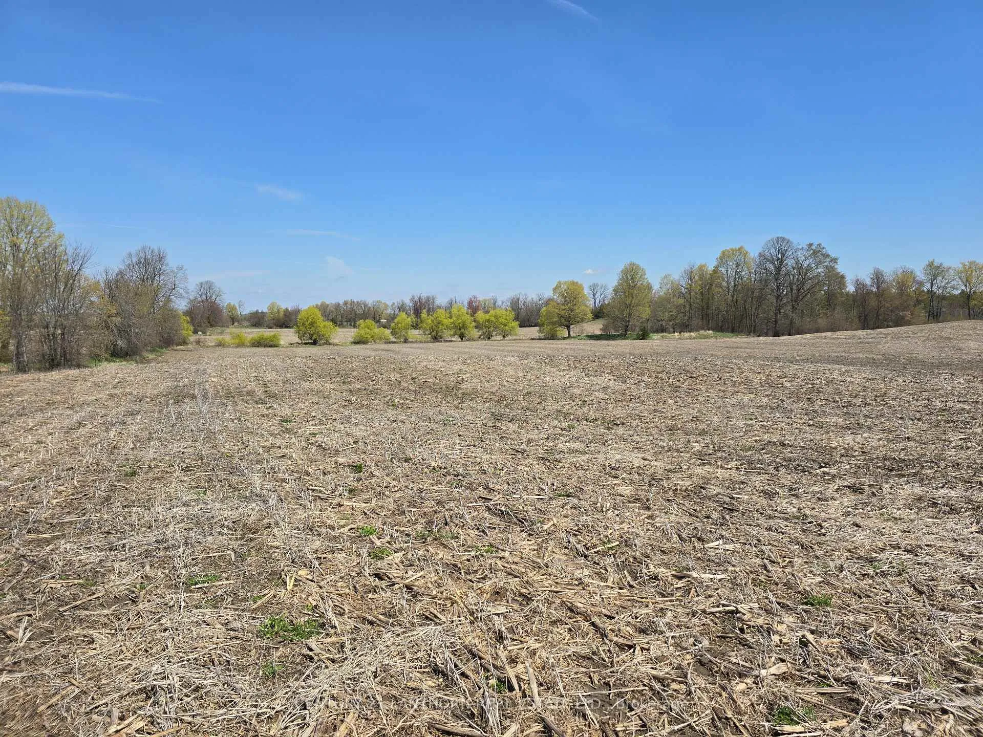 Photo 7 of Windmill Road, Tweed, Hungerford (Twp) — HOMEH