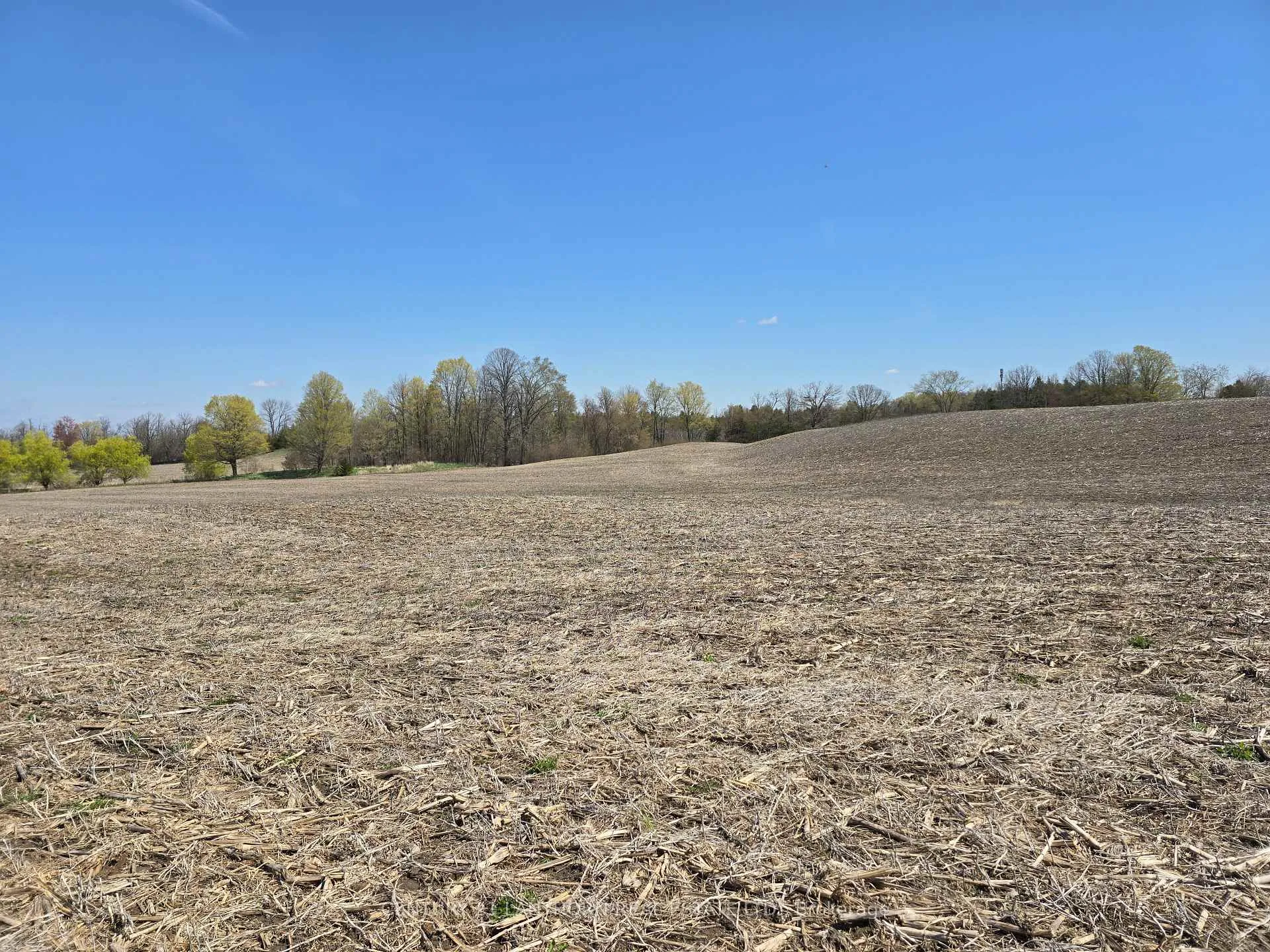 Photo 8 of Windmill Road, Tweed, Hungerford (Twp) — HOMEH