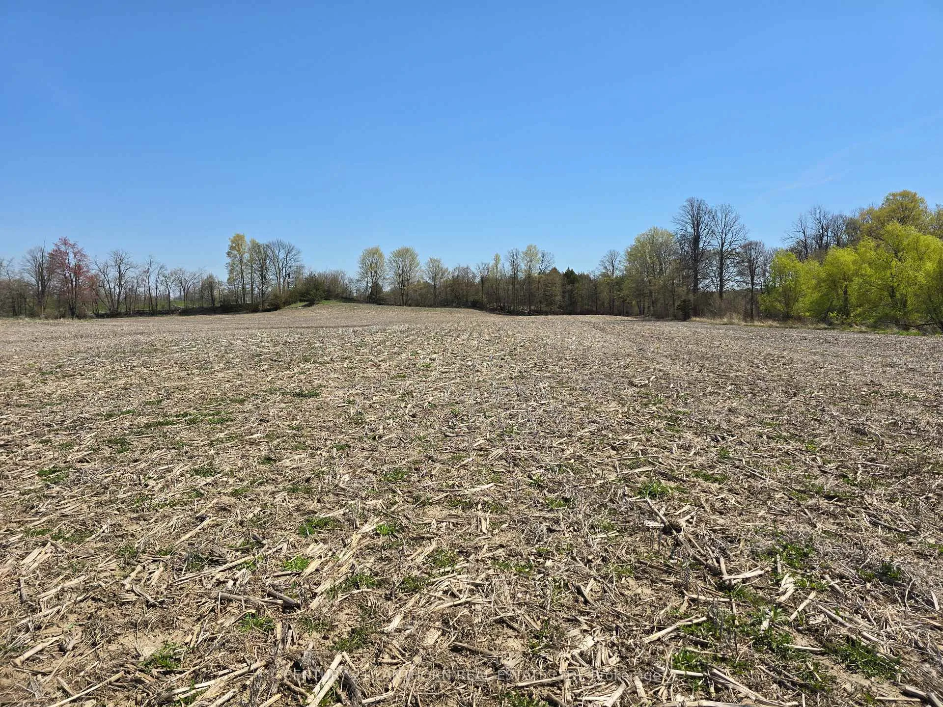 Photo 10 of Windmill Road, Tweed, Hungerford (Twp) — HOMEH