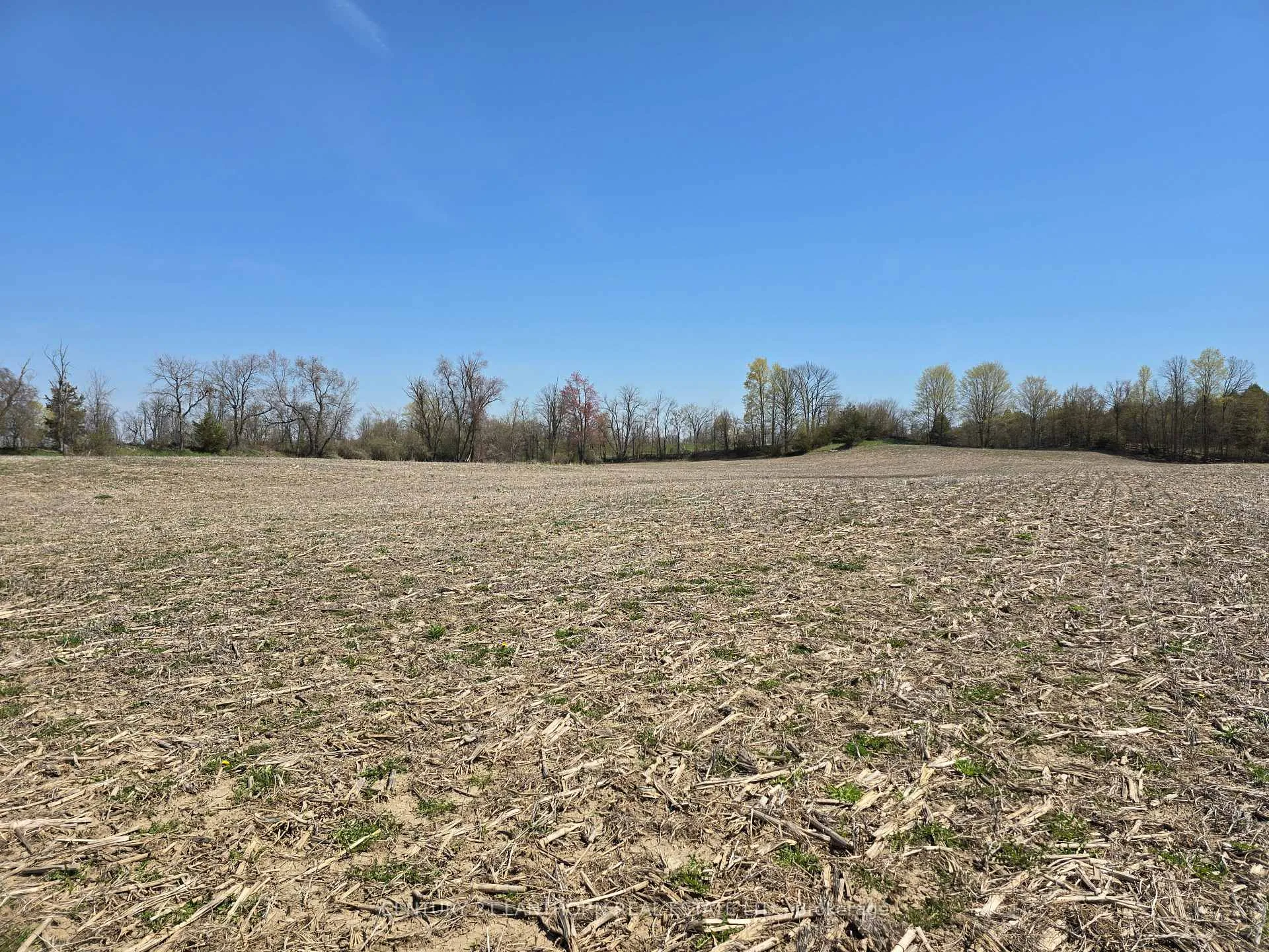 Photo 11 of Windmill Road, Tweed, Hungerford (Twp) — HOMEH