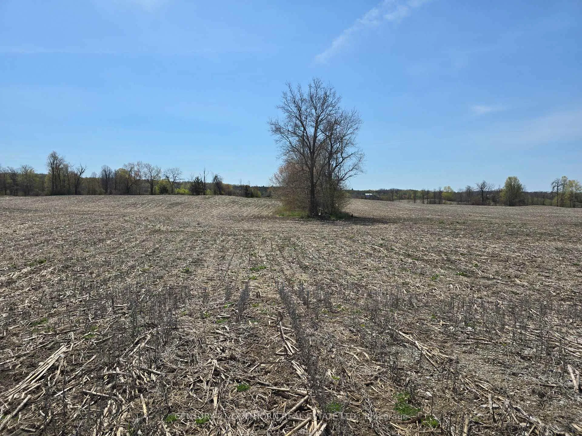 Photo 12 of Windmill Road, Tweed, Hungerford (Twp) — HOMEH