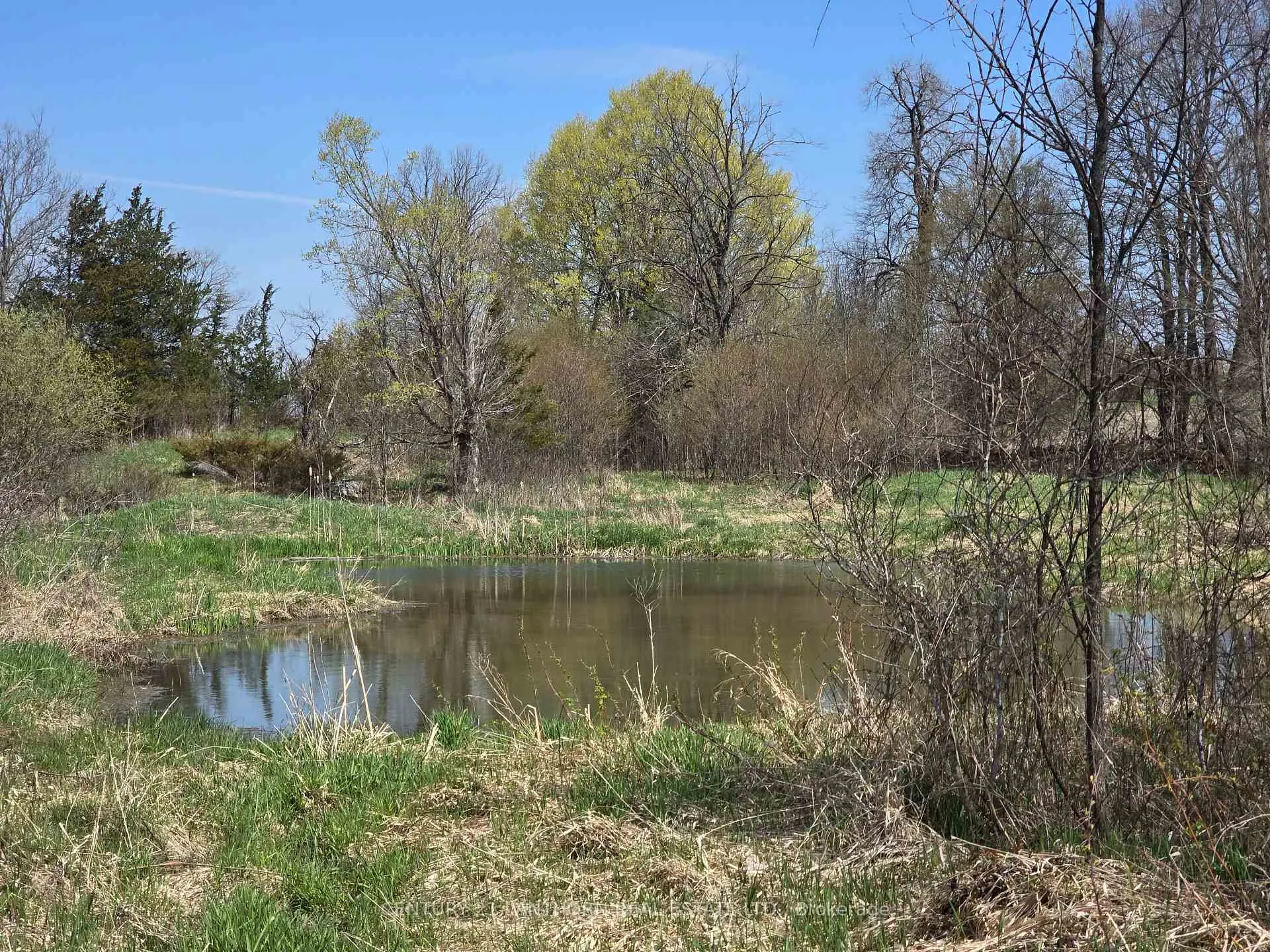 Photo 13 of Windmill Road, Tweed, Hungerford (Twp) — HOMEH
