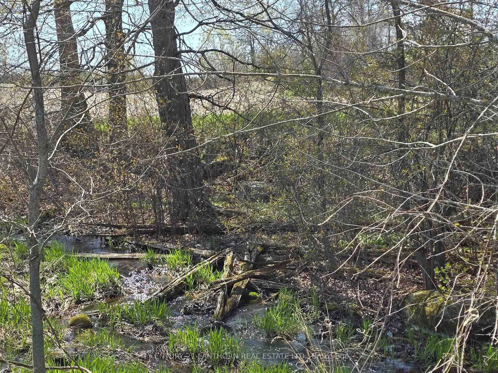 Photo 20 of Windmill Road, Tweed, Hungerford (Twp) — HOMEH