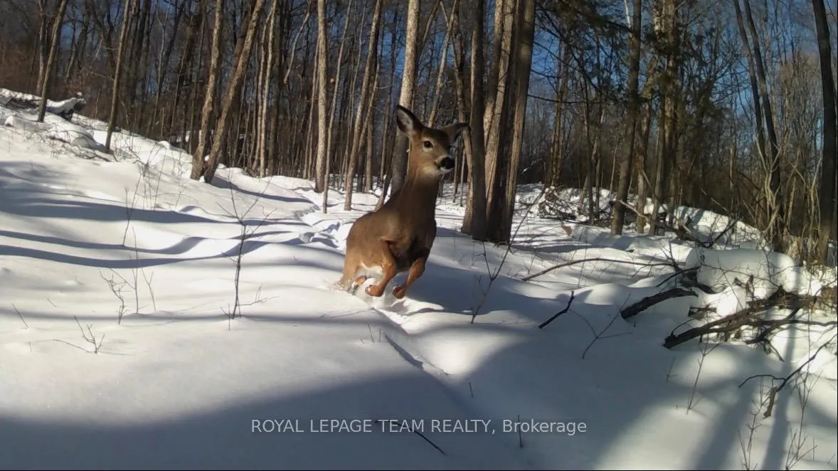 Photo 38 of 1783 Old Carp Road, Ottawa, Huntley Ward (South East) — HOMEH