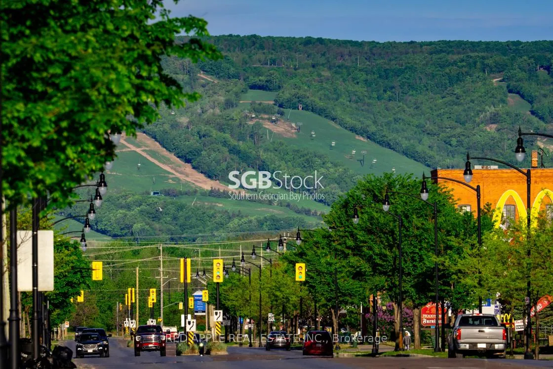 Photo 26 of 135 Escarpment Crescent, Collingwood — HOMEH