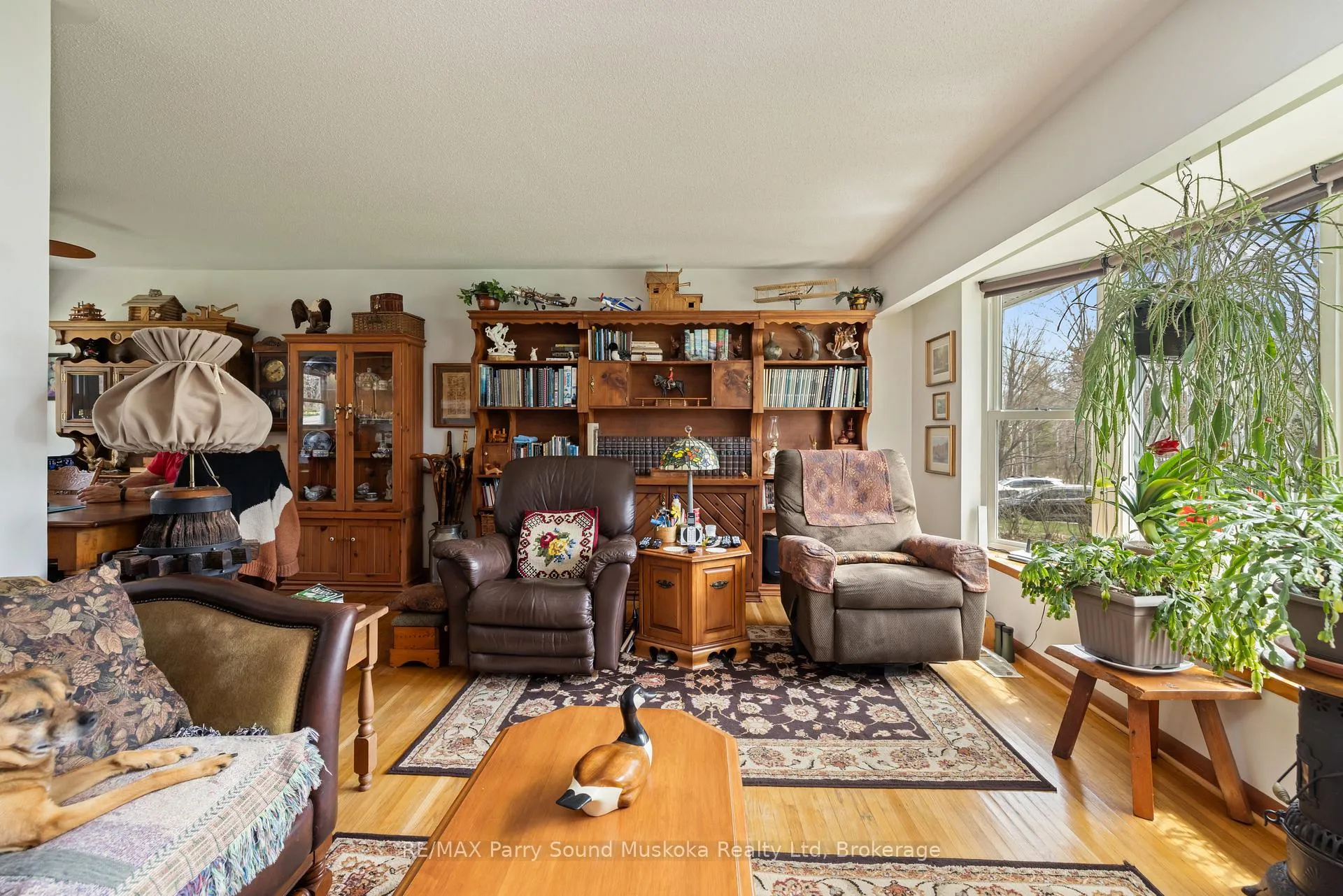Photo 10 of 137 Hammel Avenue, McDougall — HOMEH