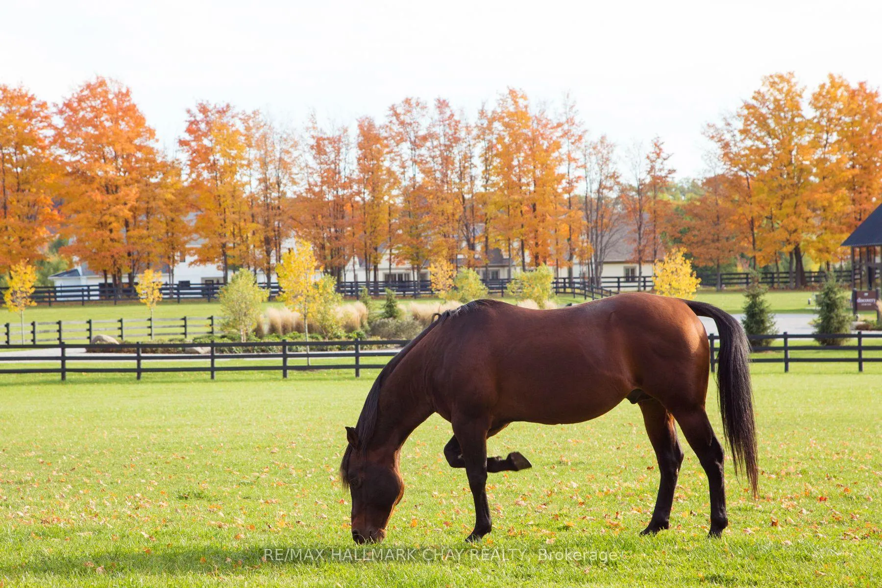 Photo 41 of 41 Thoroughbred Drive, Oro-Medonte, Rural Oro-Medonte — HOMEH