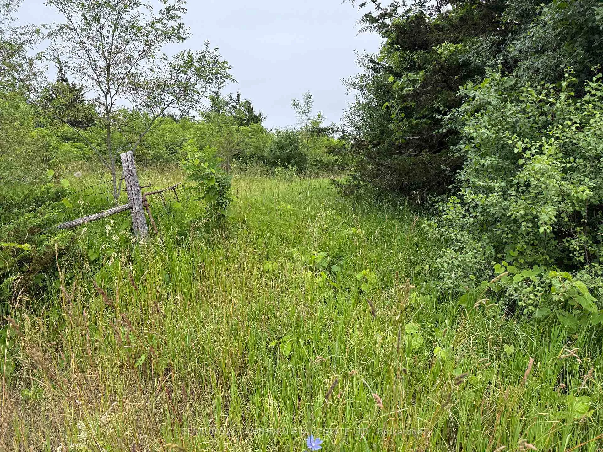 Photo 12 of Between 72 & 337 County 24 Road, Prince Edward County, Athol Ward — HOMEH