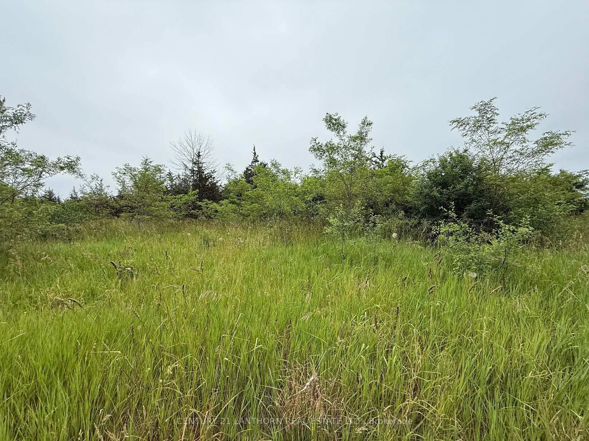 Photo 14 of Between 72 & 337 County 24 Road, Prince Edward County, Athol Ward — HOMEH