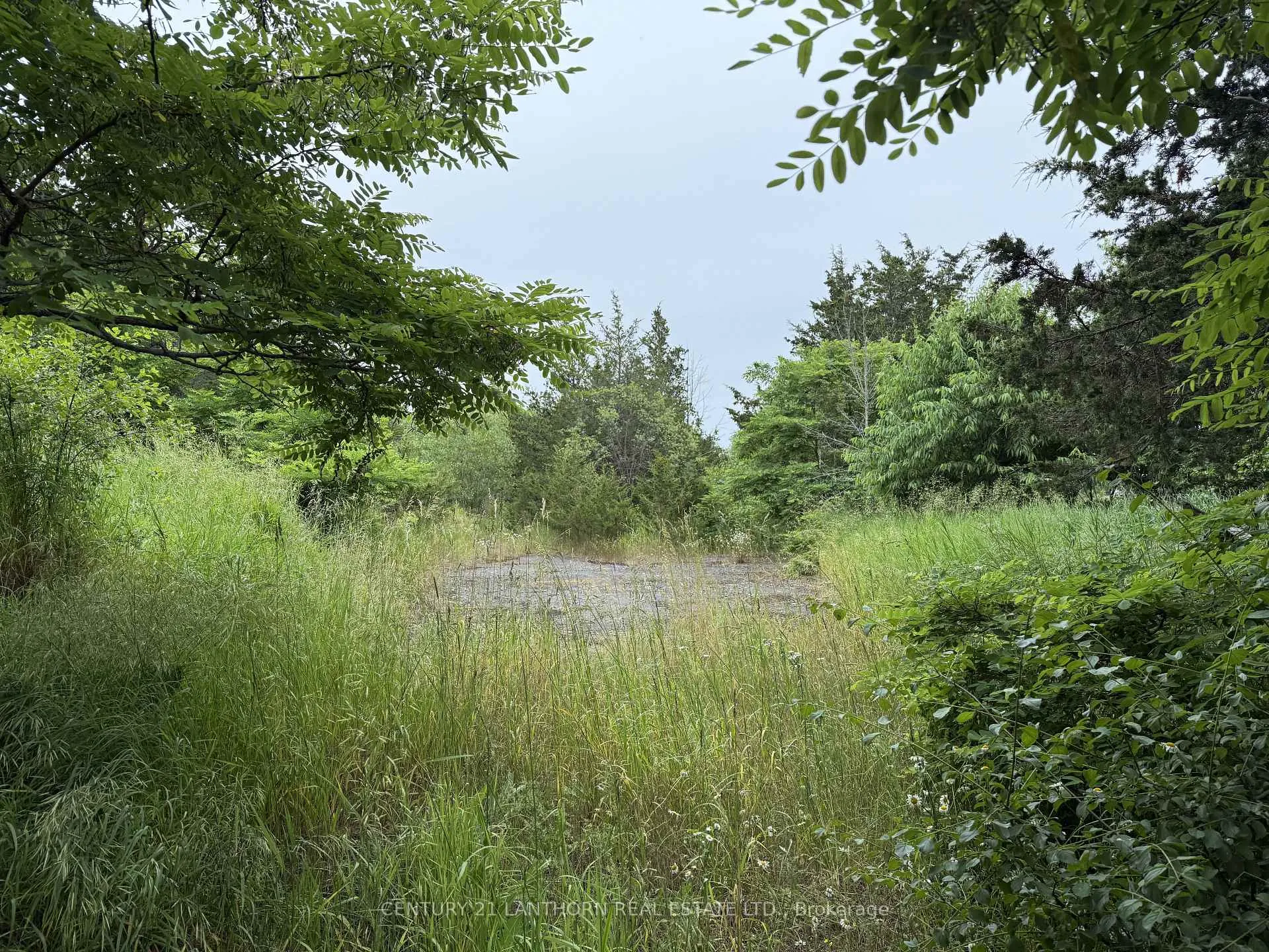 Photo 15 of Between 72 & 337 County 24 Road, Prince Edward County, Athol Ward — HOMEH
