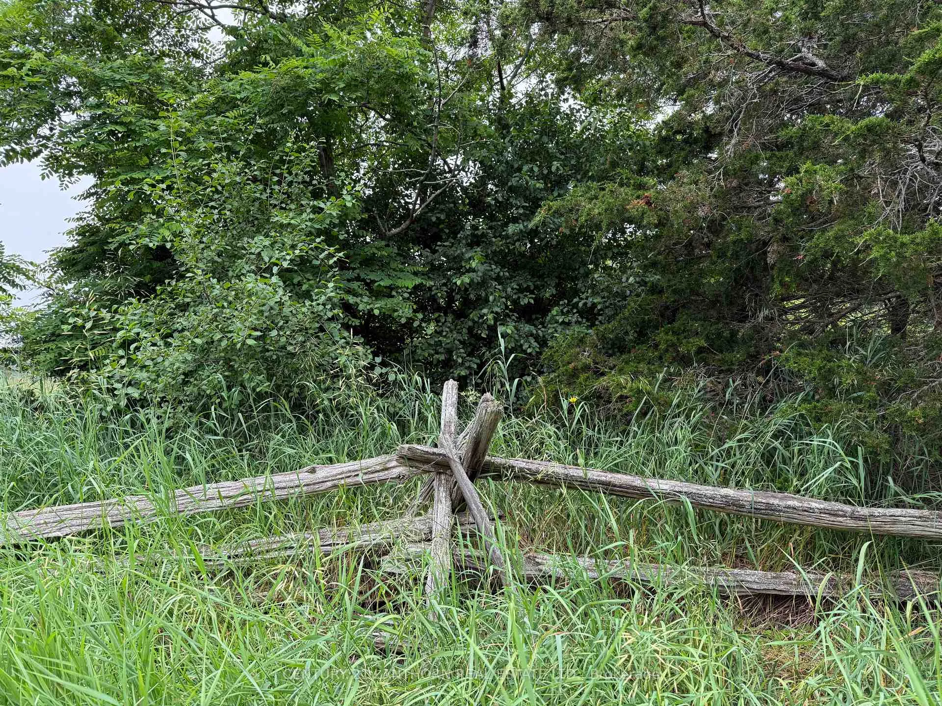Photo 13 of Between 72 & 337 County 24 Road, Prince Edward County, Athol Ward — HOMEH