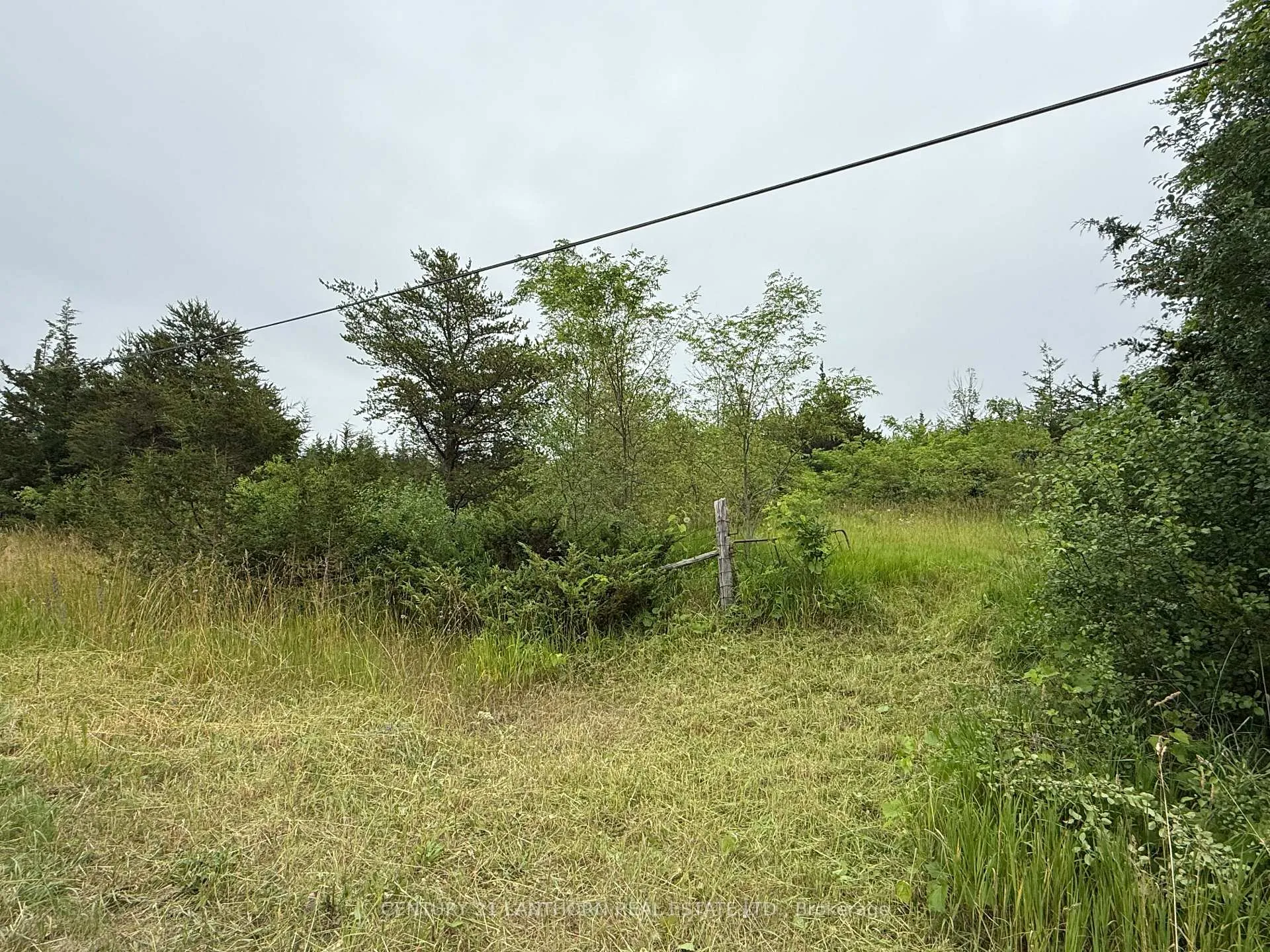 Photo 16 of Between 72 & 337 County 24 Road, Prince Edward County, Athol Ward — HOMEH