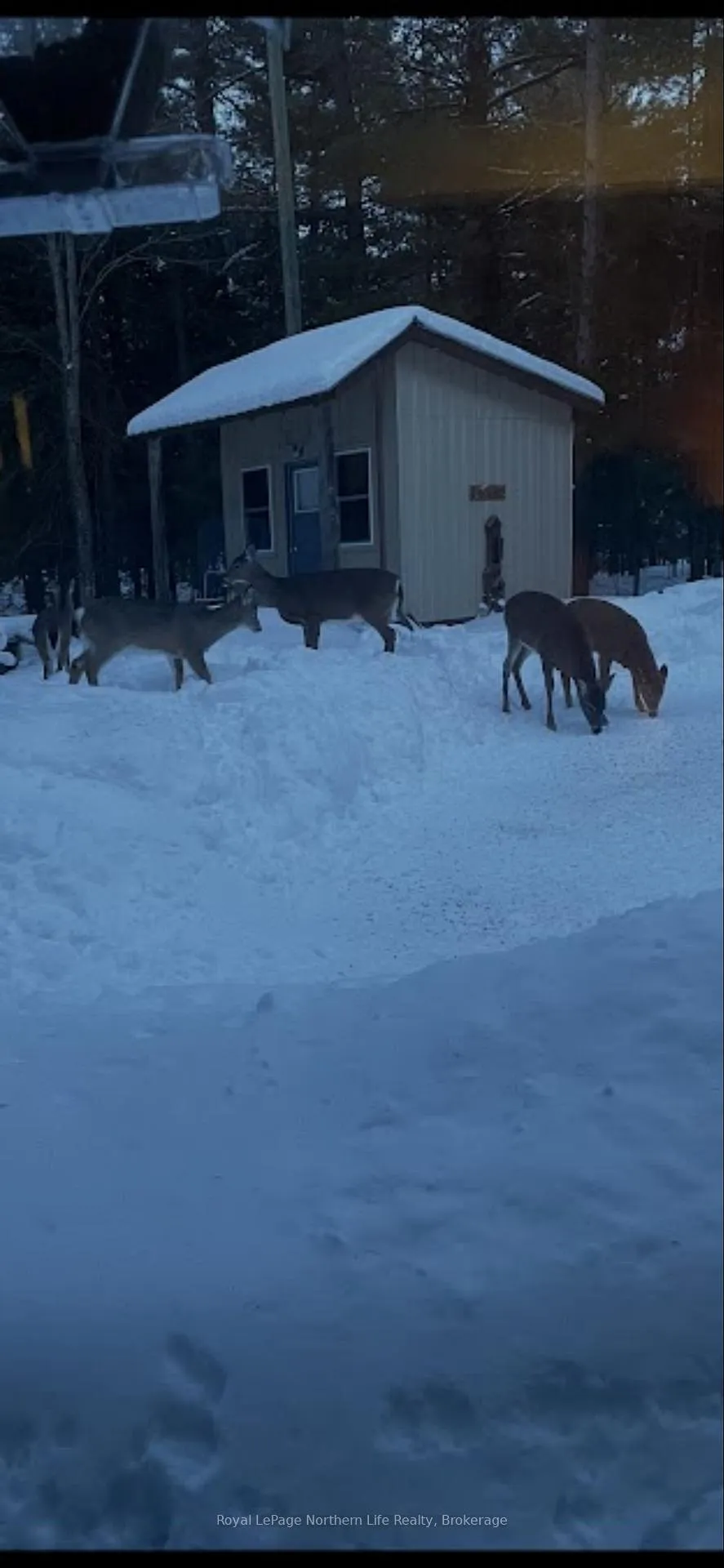 Photo 45 of 170 Talon Lake Road, Calvin — HOMEH